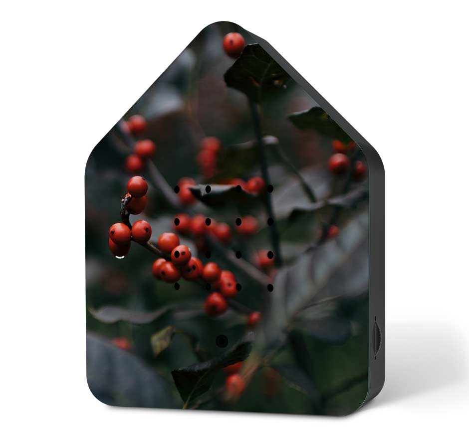 RELAXOUND Zwitscherbox limited Edition merry berries