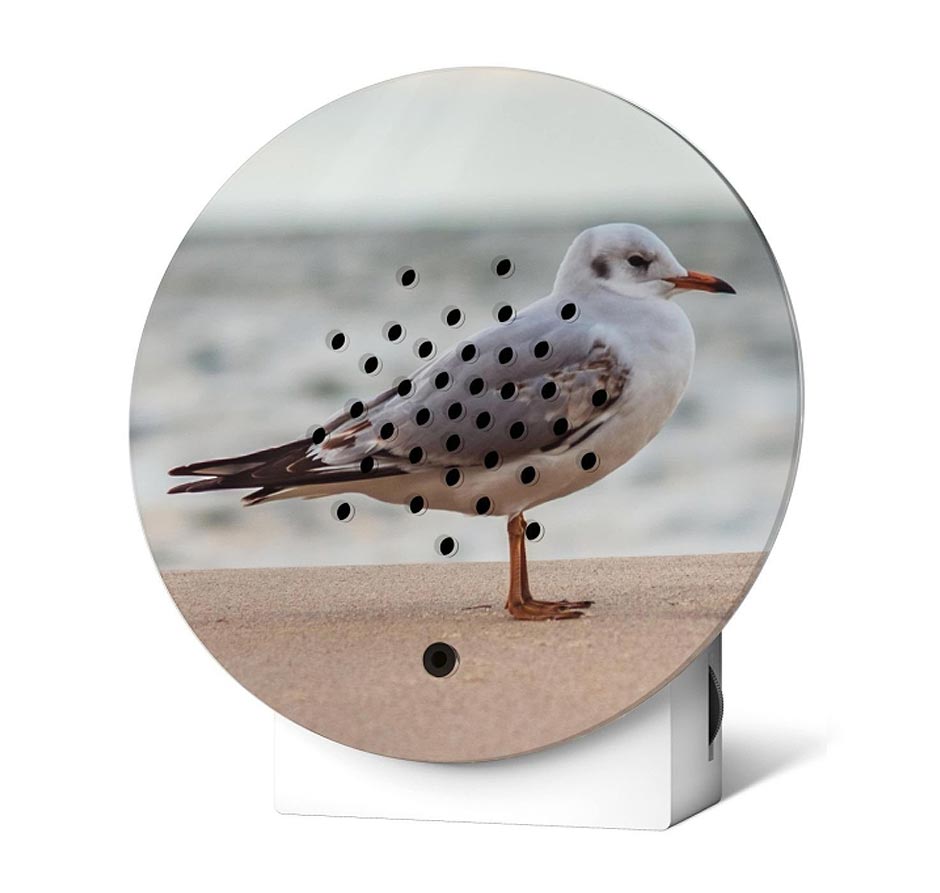 RELAXOUND Oceanbox Limited Edition baltic seagull